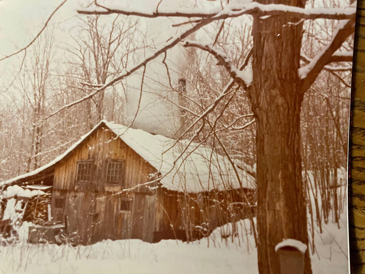 Maple sugar shack